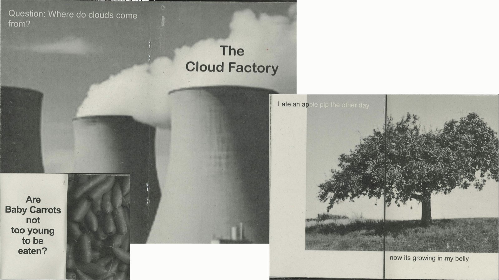 Overlapping scans from a booklet of provocations: a spread titled The Cloud Factory over cooling towers, a page asking whether baby carrots are too young to be eaten, and a spread about an apple pip growing in a belly.