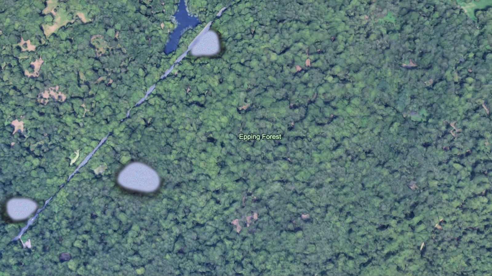 An aerial satellite view of Epping Forest, dense tree canopy crossed by a path and several ponds.